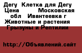 Дегу. Клетка для Дегу › Цена ­ 500 - Московская обл., Ивантеевка г. Животные и растения » Грызуны и Рептилии   